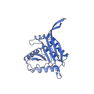 11268_6zlm_CB_v1-2
Dihydrolipoyllysine-residue acetyltransferase component of fungal pyruvate dehydrogenase complex with protein X bound