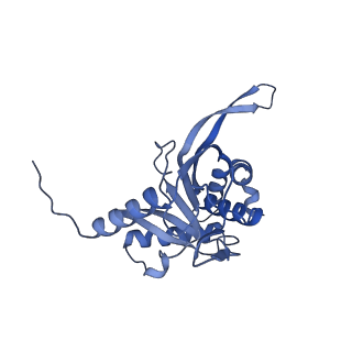 11268_6zlm_DB_v1-2
Dihydrolipoyllysine-residue acetyltransferase component of fungal pyruvate dehydrogenase complex with protein X bound