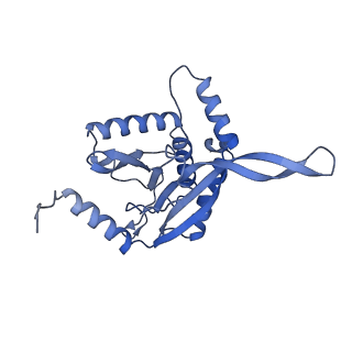 11268_6zlm_D_v1-2
Dihydrolipoyllysine-residue acetyltransferase component of fungal pyruvate dehydrogenase complex with protein X bound
