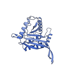 11268_6zlm_EA_v1-2
Dihydrolipoyllysine-residue acetyltransferase component of fungal pyruvate dehydrogenase complex with protein X bound