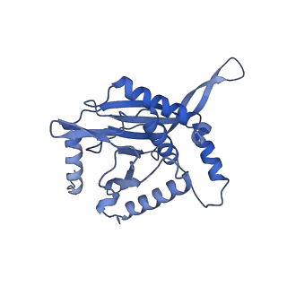 11268_6zlm_EB_v1-2
Dihydrolipoyllysine-residue acetyltransferase component of fungal pyruvate dehydrogenase complex with protein X bound