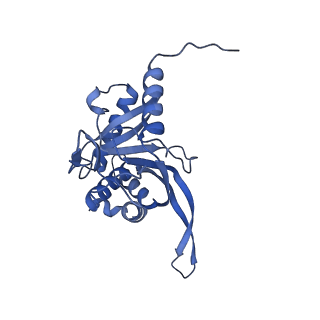 11268_6zlm_FA_v1-2
Dihydrolipoyllysine-residue acetyltransferase component of fungal pyruvate dehydrogenase complex with protein X bound