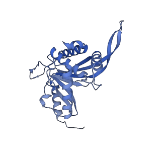 11268_6zlm_FB_v1-2
Dihydrolipoyllysine-residue acetyltransferase component of fungal pyruvate dehydrogenase complex with protein X bound