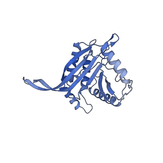 11268_6zlm_F_v1-2
Dihydrolipoyllysine-residue acetyltransferase component of fungal pyruvate dehydrogenase complex with protein X bound
