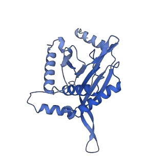 11268_6zlm_GA_v1-2
Dihydrolipoyllysine-residue acetyltransferase component of fungal pyruvate dehydrogenase complex with protein X bound