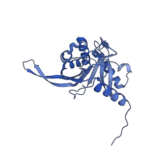 11268_6zlm_G_v1-2
Dihydrolipoyllysine-residue acetyltransferase component of fungal pyruvate dehydrogenase complex with protein X bound