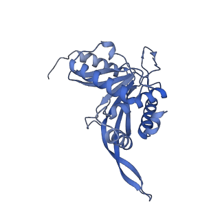 11268_6zlm_HA_v1-2
Dihydrolipoyllysine-residue acetyltransferase component of fungal pyruvate dehydrogenase complex with protein X bound