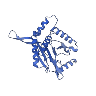 11268_6zlm_H_v1-2
Dihydrolipoyllysine-residue acetyltransferase component of fungal pyruvate dehydrogenase complex with protein X bound