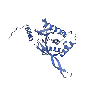 11268_6zlm_IA_v1-2
Dihydrolipoyllysine-residue acetyltransferase component of fungal pyruvate dehydrogenase complex with protein X bound