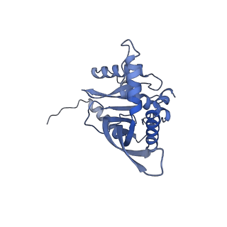 11268_6zlm_IB_v1-2
Dihydrolipoyllysine-residue acetyltransferase component of fungal pyruvate dehydrogenase complex with protein X bound