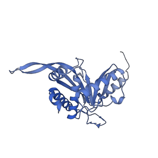 11268_6zlm_I_v1-2
Dihydrolipoyllysine-residue acetyltransferase component of fungal pyruvate dehydrogenase complex with protein X bound
