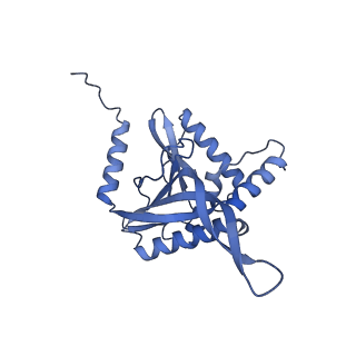 11268_6zlm_JB_v1-2
Dihydrolipoyllysine-residue acetyltransferase component of fungal pyruvate dehydrogenase complex with protein X bound