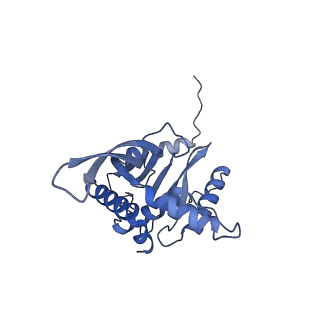 11268_6zlm_KA_v1-2
Dihydrolipoyllysine-residue acetyltransferase component of fungal pyruvate dehydrogenase complex with protein X bound