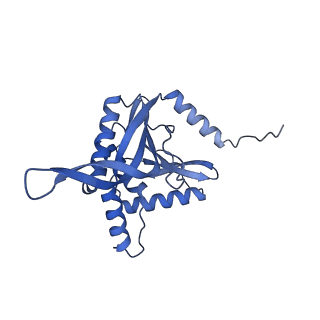 11268_6zlm_LA_v1-2
Dihydrolipoyllysine-residue acetyltransferase component of fungal pyruvate dehydrogenase complex with protein X bound