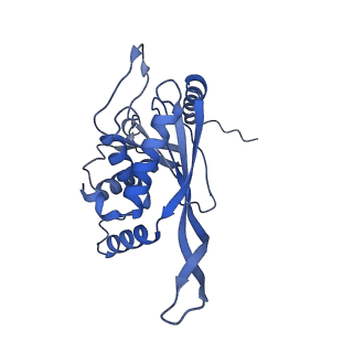 11268_6zlm_LB_v1-2
Dihydrolipoyllysine-residue acetyltransferase component of fungal pyruvate dehydrogenase complex with protein X bound