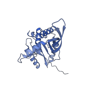 11268_6zlm_L_v1-2
Dihydrolipoyllysine-residue acetyltransferase component of fungal pyruvate dehydrogenase complex with protein X bound