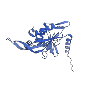 11268_6zlm_MA_v1-2
Dihydrolipoyllysine-residue acetyltransferase component of fungal pyruvate dehydrogenase complex with protein X bound