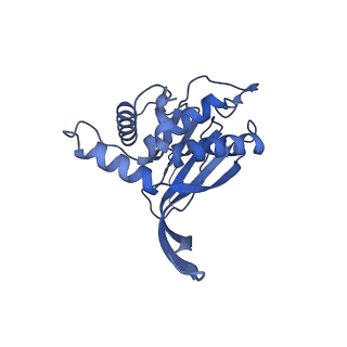 11268_6zlm_MB_v1-2
Dihydrolipoyllysine-residue acetyltransferase component of fungal pyruvate dehydrogenase complex with protein X bound