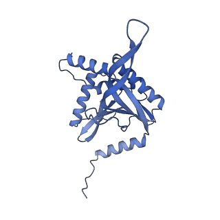 11268_6zlm_M_v1-2
Dihydrolipoyllysine-residue acetyltransferase component of fungal pyruvate dehydrogenase complex with protein X bound