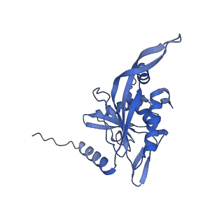 11268_6zlm_N_v1-2
Dihydrolipoyllysine-residue acetyltransferase component of fungal pyruvate dehydrogenase complex with protein X bound