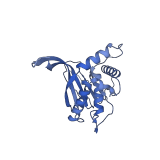 11268_6zlm_OA_v1-2
Dihydrolipoyllysine-residue acetyltransferase component of fungal pyruvate dehydrogenase complex with protein X bound