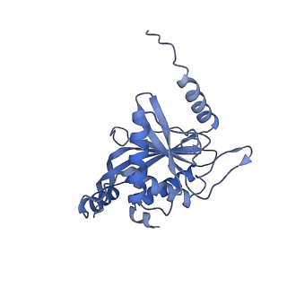 11268_6zlm_OB_v1-2
Dihydrolipoyllysine-residue acetyltransferase component of fungal pyruvate dehydrogenase complex with protein X bound