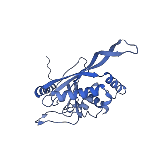 11268_6zlm_O_v1-2
Dihydrolipoyllysine-residue acetyltransferase component of fungal pyruvate dehydrogenase complex with protein X bound
