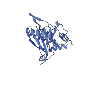 11268_6zlm_QB_v1-2
Dihydrolipoyllysine-residue acetyltransferase component of fungal pyruvate dehydrogenase complex with protein X bound