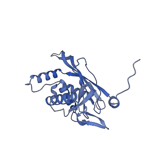 11268_6zlm_RA_v1-2
Dihydrolipoyllysine-residue acetyltransferase component of fungal pyruvate dehydrogenase complex with protein X bound