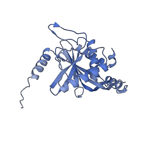 11268_6zlm_R_v1-2
Dihydrolipoyllysine-residue acetyltransferase component of fungal pyruvate dehydrogenase complex with protein X bound
