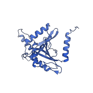 11268_6zlm_SB_v1-2
Dihydrolipoyllysine-residue acetyltransferase component of fungal pyruvate dehydrogenase complex with protein X bound
