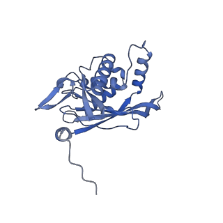 11268_6zlm_S_v1-2
Dihydrolipoyllysine-residue acetyltransferase component of fungal pyruvate dehydrogenase complex with protein X bound
