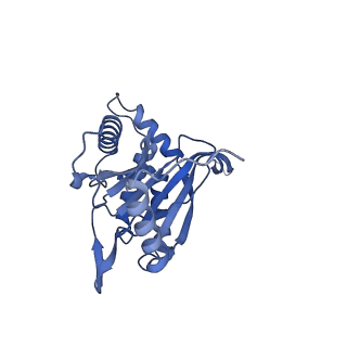 11268_6zlm_T_v1-2
Dihydrolipoyllysine-residue acetyltransferase component of fungal pyruvate dehydrogenase complex with protein X bound