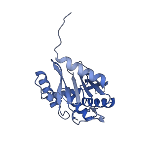 11268_6zlm_V_v1-2
Dihydrolipoyllysine-residue acetyltransferase component of fungal pyruvate dehydrogenase complex with protein X bound