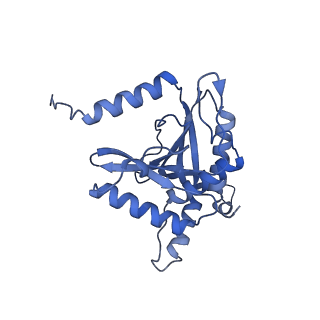 11268_6zlm_W_v1-2
Dihydrolipoyllysine-residue acetyltransferase component of fungal pyruvate dehydrogenase complex with protein X bound