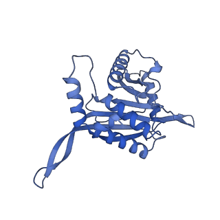 11268_6zlm_XA_v1-2
Dihydrolipoyllysine-residue acetyltransferase component of fungal pyruvate dehydrogenase complex with protein X bound