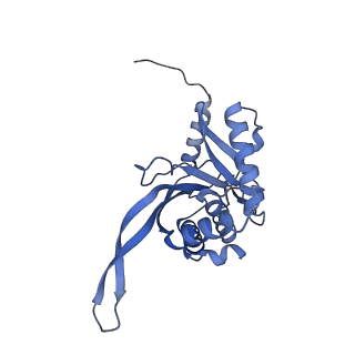 11268_6zlm_YA_v1-2
Dihydrolipoyllysine-residue acetyltransferase component of fungal pyruvate dehydrogenase complex with protein X bound