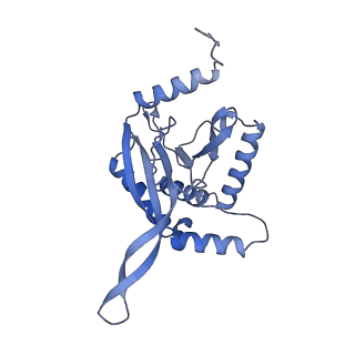 11268_6zlm_ZA_v1-2
Dihydrolipoyllysine-residue acetyltransferase component of fungal pyruvate dehydrogenase complex with protein X bound