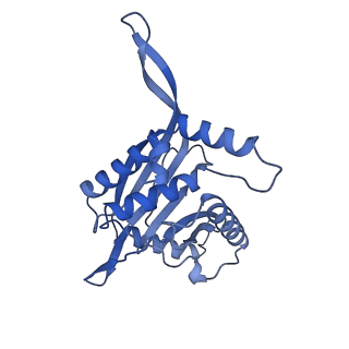 11268_6zlm_Z_v1-2
Dihydrolipoyllysine-residue acetyltransferase component of fungal pyruvate dehydrogenase complex with protein X bound