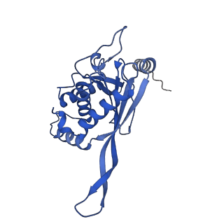 11270_6zlo_AA_v1-2
E2 core of the fungal Pyruvate dehydrogenase complex with asymmetric interior PX30 component