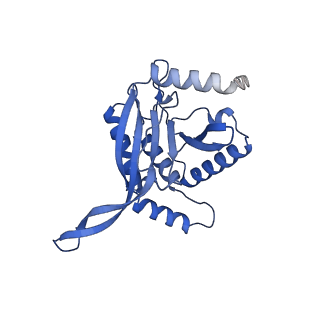 11270_6zlo_BB_v1-2
E2 core of the fungal Pyruvate dehydrogenase complex with asymmetric interior PX30 component