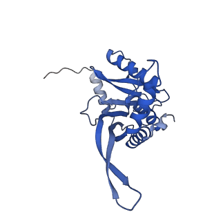 11270_6zlo_CA_v1-2
E2 core of the fungal Pyruvate dehydrogenase complex with asymmetric interior PX30 component