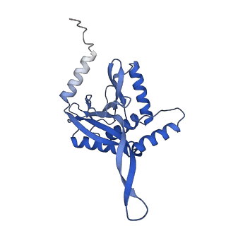 11270_6zlo_DA_v1-2
E2 core of the fungal Pyruvate dehydrogenase complex with asymmetric interior PX30 component