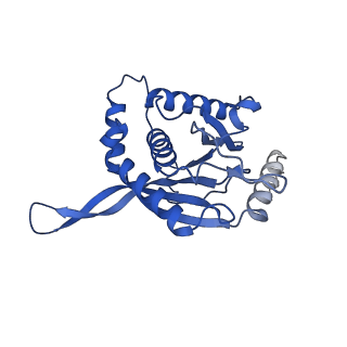 11270_6zlo_DB_v1-2
E2 core of the fungal Pyruvate dehydrogenase complex with asymmetric interior PX30 component