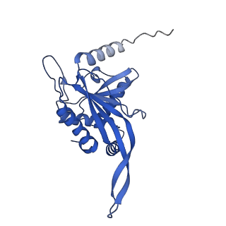 11270_6zlo_EA_v1-2
E2 core of the fungal Pyruvate dehydrogenase complex with asymmetric interior PX30 component