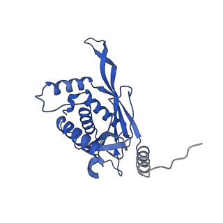 11270_6zlo_FA_v1-2
E2 core of the fungal Pyruvate dehydrogenase complex with asymmetric interior PX30 component