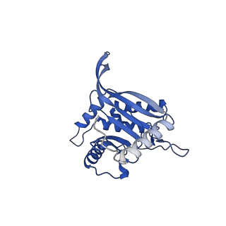 11270_6zlo_GA_v1-2
E2 core of the fungal Pyruvate dehydrogenase complex with asymmetric interior PX30 component