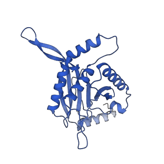 11270_6zlo_GB_v1-2
E2 core of the fungal Pyruvate dehydrogenase complex with asymmetric interior PX30 component