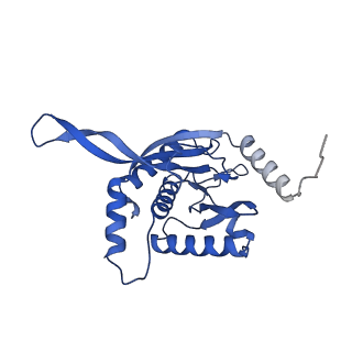 11270_6zlo_IB_v1-2
E2 core of the fungal Pyruvate dehydrogenase complex with asymmetric interior PX30 component