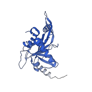 11270_6zlo_JA_v1-2
E2 core of the fungal Pyruvate dehydrogenase complex with asymmetric interior PX30 component